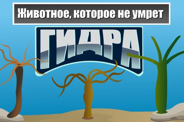 Кракен маркетплейс откуда взялся