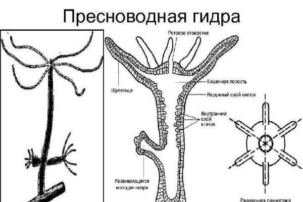 Кракен картель