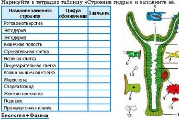 Ссылки на кракена и на мегу