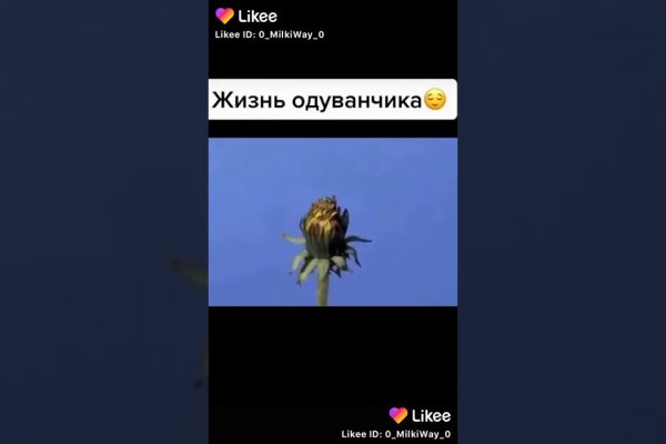 Кракен лег